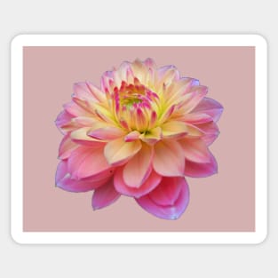 Dahlia Amis Fleur Sticker